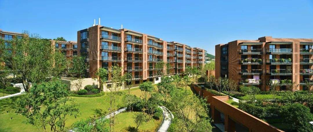 1571807107121551.jpg timg.jpg